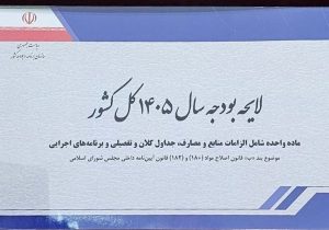 ۳ کلید بودجه ۱۴۰۵ برای نجات معیشت خانوارها؛ امید تازه برای جوانان