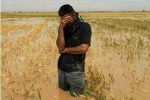 اختصاص ۳۰ همت برای جبران خسارات کشاورزان