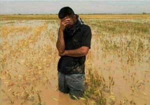 اختصاص ۳۰ همت برای جبران خسارات کشاورزان