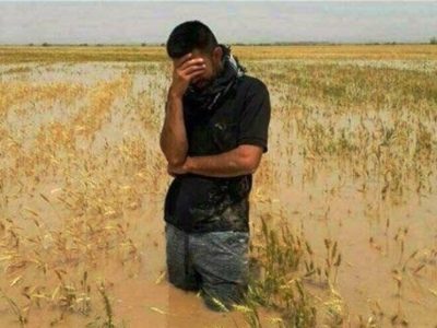 اختصاص ۳۰ همت برای جبران خسارات کشاورزان