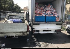 تسریع حمل نهادههای دامی از بنادر ضروری است