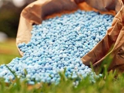 رشد ۸۹ درصدی قیمت اوره / جهان در آستانه تورم مواد غذایی