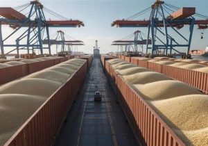 زنجیره تأمین غلات لحظهای متوقف نمیشود