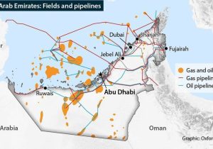 فعالیت یکی از مهم‌ترین مراکز گازی امارات تعلیق شد