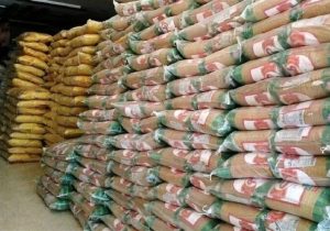 نگران تأمین برنج نیستیم