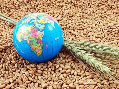 نگرانی شدید امنیت غذایی در عربستان، امارات و قطر