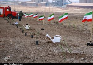 پیگیری طرح رهبر شهید برای کاشت یک میلیارد درخت با قوت بیشتر