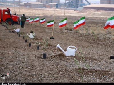 پیگیری طرح رهبر شهید برای کاشت یک میلیارد درخت با قوت بیشتر