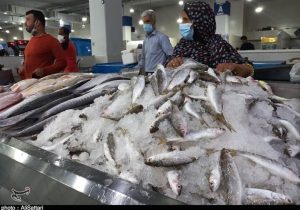 کمبودی در عرضه ماهی شب عید وجود ندارد