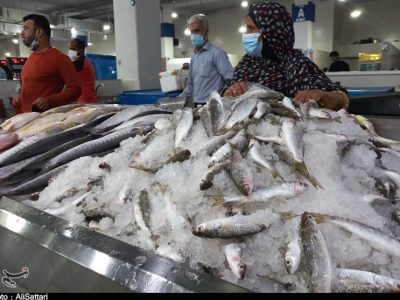 کمبودی در عرضه ماهی شب عید وجود ندارد