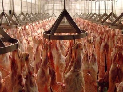 گوشت به وفور موجود است/ نیازی به استفاده از ذخایر استراتژیک نیست