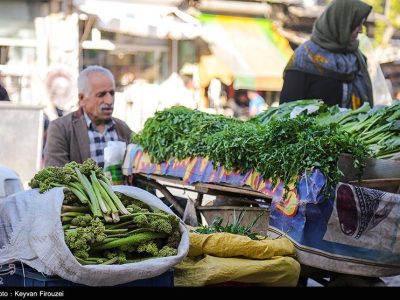 بهارِ زاگرس در بازار لرستان/ قصه نان‌آوری گیاهان بهاری در لرستان+فیلم