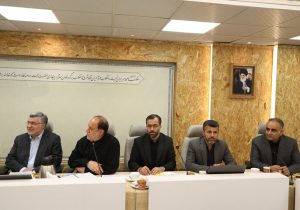 جزئیات نشست جمعی از نمایندگان با وزیر بهداشت؛ تأکید بر کنترل قیمت دارو