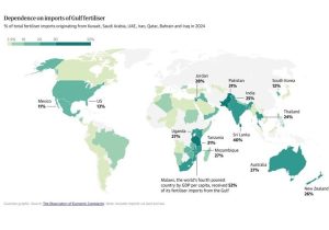 جزئیات وابستگی غذای جهان به تنگه هرمز/ موج قیمتی بر همه تاثیرگذار است