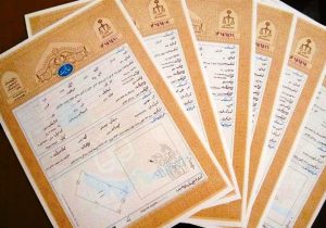 حدنگاری و صدور سند زمینهای کشاورزی تسریع شد