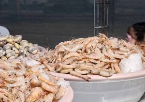 خوزستان پنجمین تولیدکننده میگو در کشور است