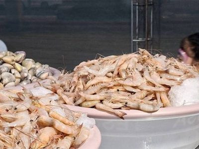 خوزستان پنجمین تولیدکننده میگو در کشور است