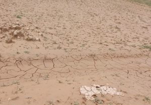 دادستان اندیمشک: برخورد قانونی با مقصران احتمالی تشدید سیلاب کوی نیرو
