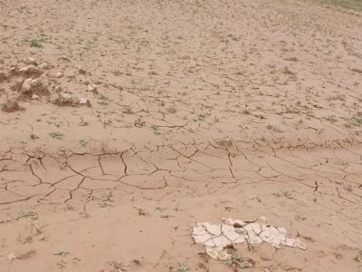 دادستان اندیمشک: برخورد قانونی با مقصران احتمالی تشدید سیلاب کوی نیرو