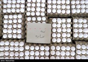 دستور وزیر کشاورزی برای اصلاح قیمت تخم مرغ