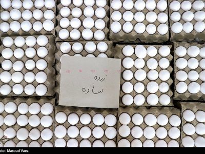 دستور وزیر کشاورزی برای اصلاح قیمت تخم مرغ