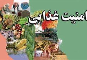 دشمن در شکست امنیت غذایی کشورمان هم شکست خورد