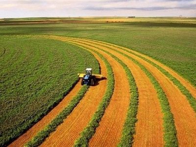 شرایط کشت بهاره دیم مطلوب شد