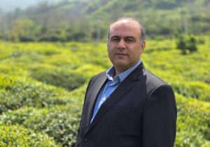 لنگرود قهرمان پرداخت مطالبات چای/ ۳ ماه زودتر از سایر شهرستان‌ها