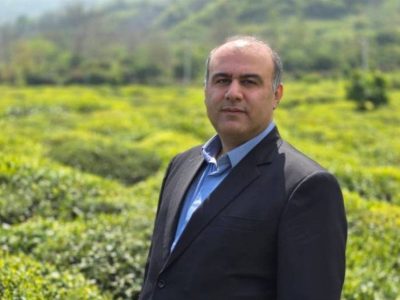 لنگرود قهرمان پرداخت مطالبات چای/ ۳ ماه زودتر از سایر شهرستان‌ها