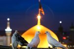چهارشنبه‌های امام رضایی؛ دل‌های دخیل بسته به پنجره فولاد