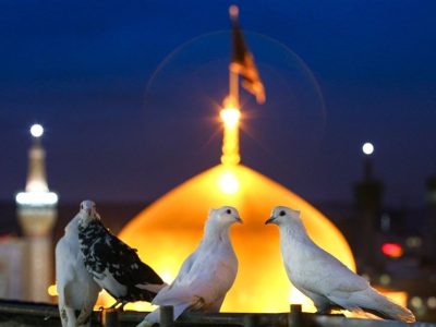چهارشنبه‌های امام رضایی؛ دل‌های دخیل بسته به پنجره فولاد