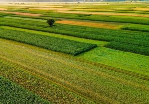 ۴ میلیون هکتار مراتع کشور در سال ۱۴۰۴ حفظ و احیا شد