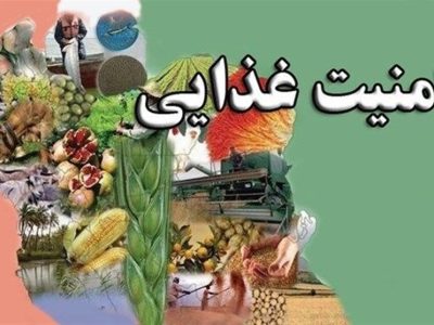 ۸۵ درصد امنیت غذایی کشور داخلی است