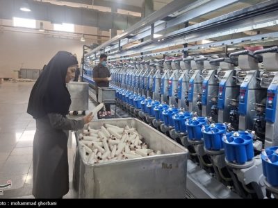 احیای اشتغال؛ اولویت راهبردی بازسازی اقتصادی