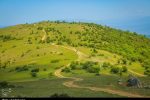 احیای ۲۰ میلیون هکتار مرتع؛ واگذاری ۲۰ ساله مراتع به بهره‌برداران