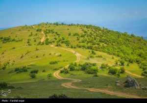 احیای ۲۰ میلیون هکتار مرتع؛ واگذاری ۲۰ ساله مراتع به بهره‌برداران