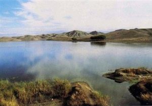 جان دوباره در کالبد قوریگل؛ تراز آب تالاب ۳۲ سانتیمتر افزایش یافت