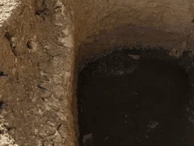 راز سنگی تازه شناسایی‌شده در کوهدشت/ آغاز ثبت ملی برای «چلانه»