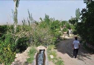 رقص شکوفه‌ها در «نوغاب»؛ روایت تسنیم از بیداری طبیعت پس از خشکسالی