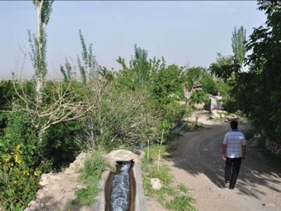 رقص شکوفه‌ها در «نوغاب»؛ روایت تسنیم از بیداری طبیعت پس از خشکسالی