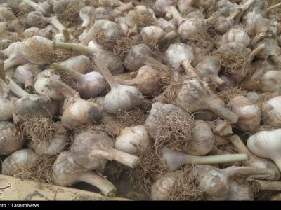روستایی که با سیر نفس میکشد؛ «اَتو» و داستان یک برند موفق