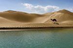 سفر به روستایی که جهان را شگفت‌زده می‌کند/تلاقی دریا و کویر در درک!