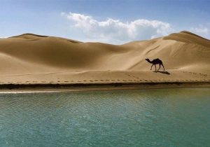 سفر به روستایی که جهان را شگفت‌زده می‌کند/تلاقی دریا و کویر در درک!