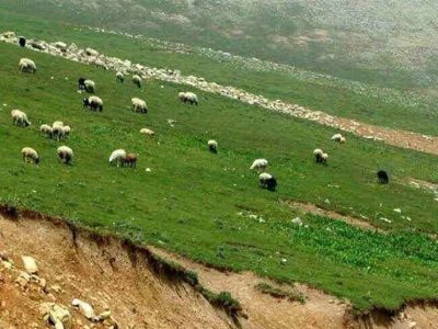مراتع ایران در مسیر ‌فرسایش‌/ ریشه بحران در ثروت طبیعی کجاست؟