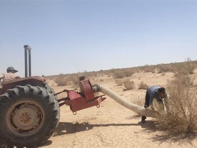 ملخ‌های بومی برای تولید خوراک طیور و آبزیان جارو می‌شوند
