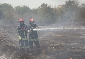جزئیات سوختن ۱۰۰ اصله درخت در آتش‌سوزی مهیب مشهد