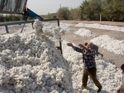 ایران بزرگ‌ترین خریدار پنبه تاجیکستان شد
