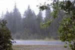 بارندگی در راه ۴ استان جنوبی کشور| در کدام مناطق دما کاهش می یابد؟