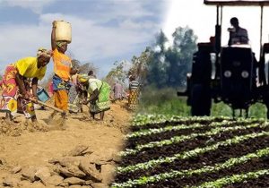 سهم بخش کشاورزی از تسهیلات حداقل معادل ۱۰٫۸ درصد تعیین شد