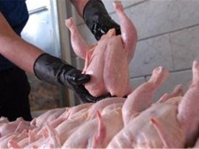 صادرات گوشت مرغ مجاز مشروط شد